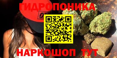 дживик Нальчик