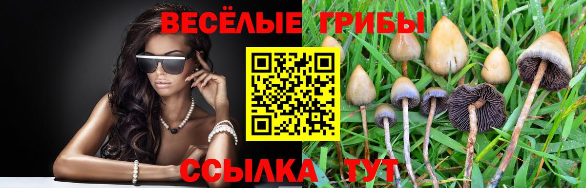 Светлоград  Псилоцибиновые грибы мицелий  Вход с VPN 